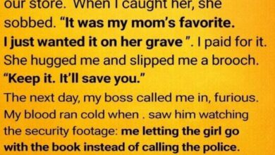 Photo of Kindness Costs, Hidden Fortunes, Cosmic Irony, Brilliant Cats, Lasting Legacies, and Silent Power Collide In Stories Where Small Choices Reshape Lives, Unexpected Wealth Defies Spotlight, Humor Exposes Systems, Loss Reminds Fragility, and One Quiet Act Echoes Louder Than Money, Proving Compassion, Chance, and Perspective Can Transform Everything In Ways No One Sees Coming At First