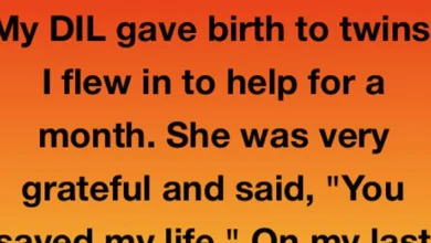 Photo of The Envelope On The Plane